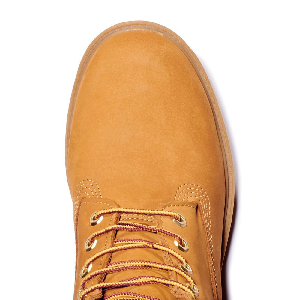 Bota Neve Masculino - Timberland 6-Inch Basic Impermeavel W/Padded Collar - DYEJW7542 - Marrom